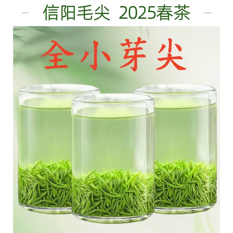 【明前/雨前/春尾芽头】2025春茶信阳毛尖绿茶新茶鲜爽回甘茶叶推荐