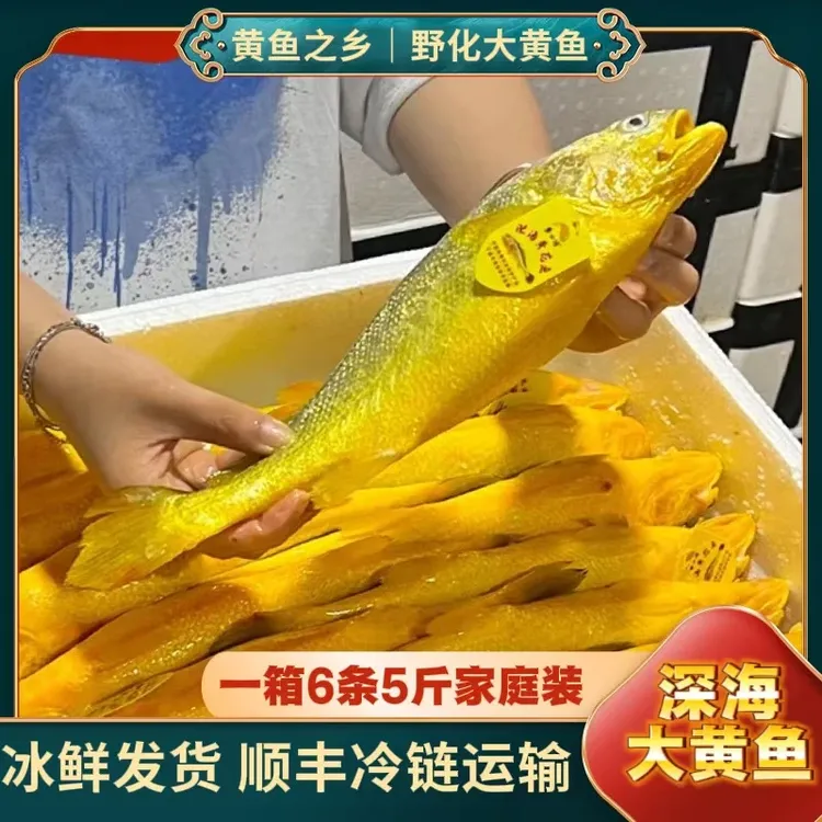 真正宁德深海大黄鱼,深夜捕捞,冰鲜发货,一箱6条5斤装,顺丰包邮
