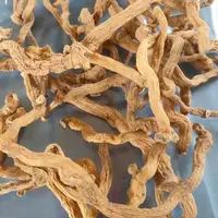  山货玉竹【袁瑞泽推荐】=