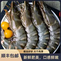 精选黑虎虾 3斤/盒   35-40只左右/盒 老虎虾高品质  含保护冰 