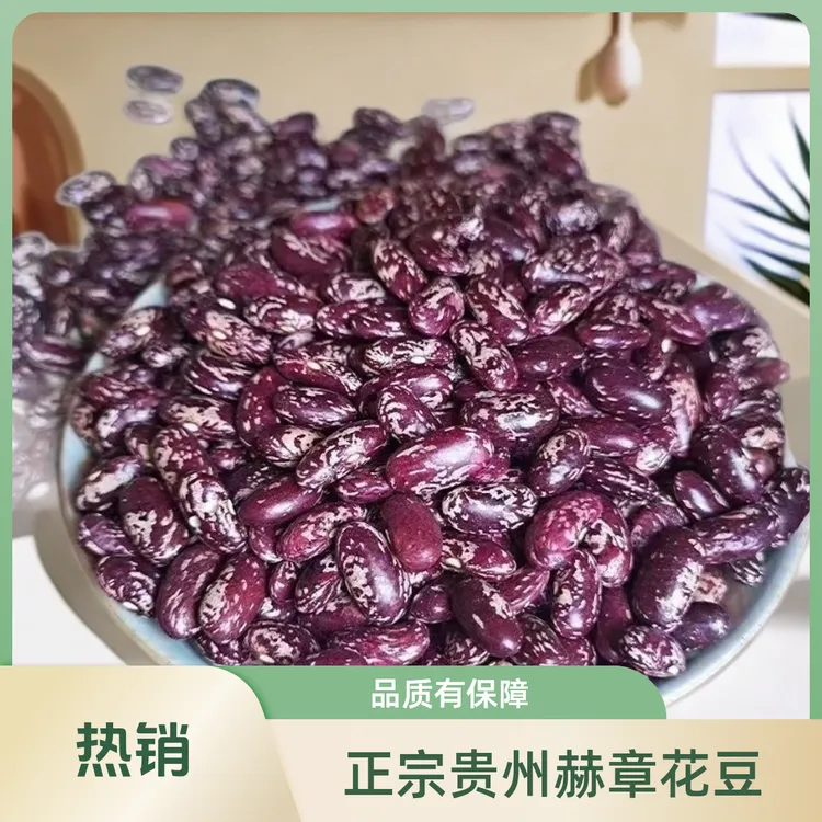 贵州新货四季豆红芸豆花豆酸菜豆米特色食材