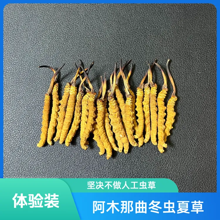 西藏那曲冬虫夏草 头茬小黄芽品质 4根/克体验装 高海拔产地直发