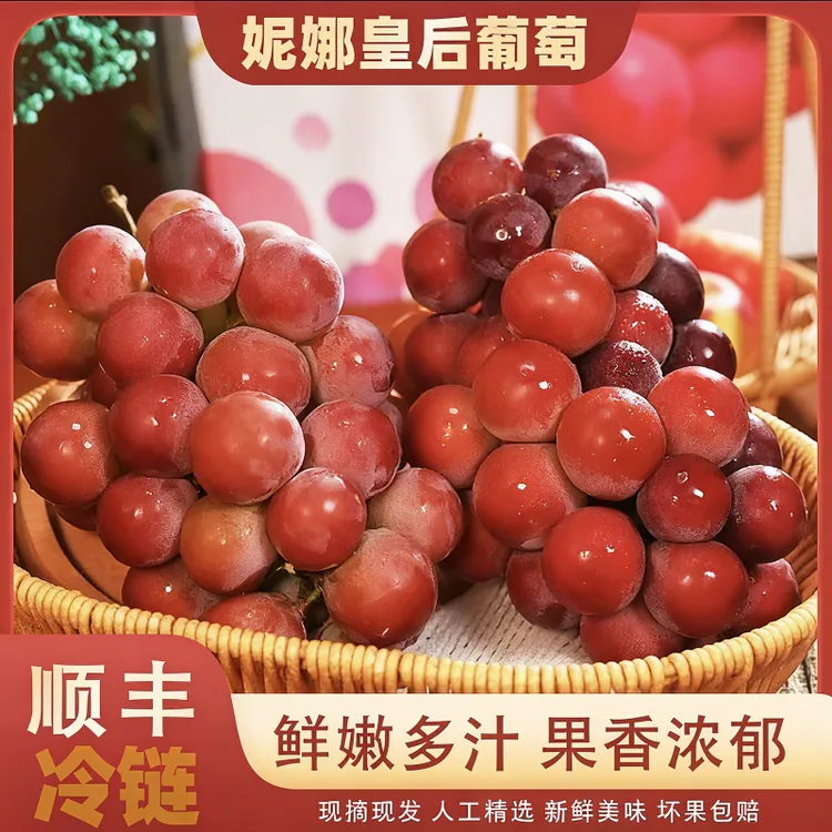 【顺丰/JD】妮娜皇后葡萄红宝石新鲜孕妇水果精品颗粒果5-10盒S6-1