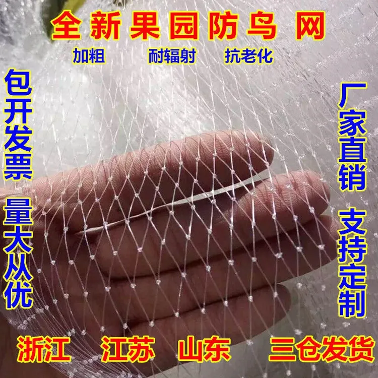 防鸟用网透明尼龙天网池塘养殖户外阳台网葡萄樱桃枸杞果园工厂