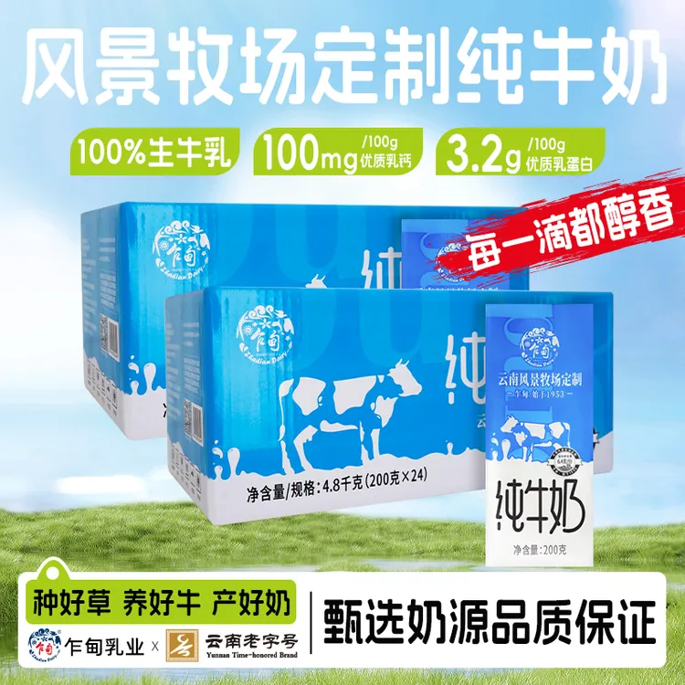 云南乍甸常温纯牛奶200g*24盒*2件早餐奶营养全脂3.2g优质乳蛋白