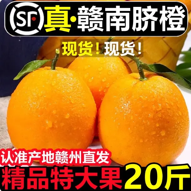 赣南脐橙橙子新鲜果冻橙榨汁大果手剥橘子酸甜5/10斤当季整箱批发