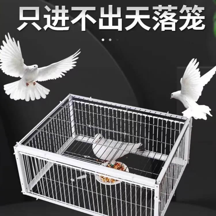 落笼加密只进不出镀锌防锈加粗加密鸽子笼户外养殖场适用