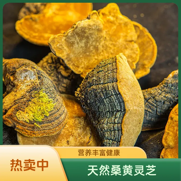 【阿甘甄选】云南土特产 桑-黄 净含量：250-500g 