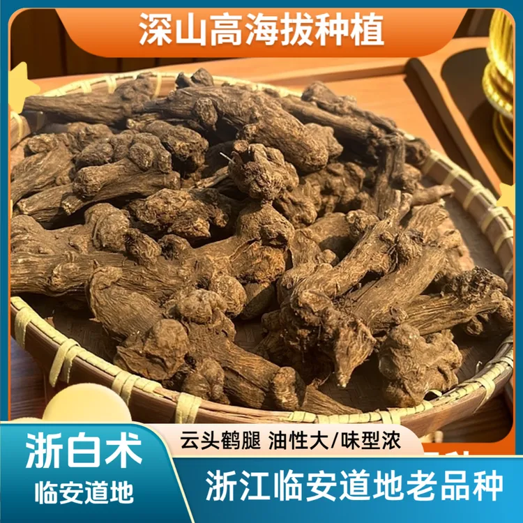 【产地直销】浙白术正宗浙江临安高山老品种白术淤术柴火炕干新货