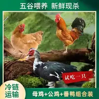 【竹林】2只母鸡+赠1只公鸡+赠1只4斤番鸭 到手共4只总重11斤