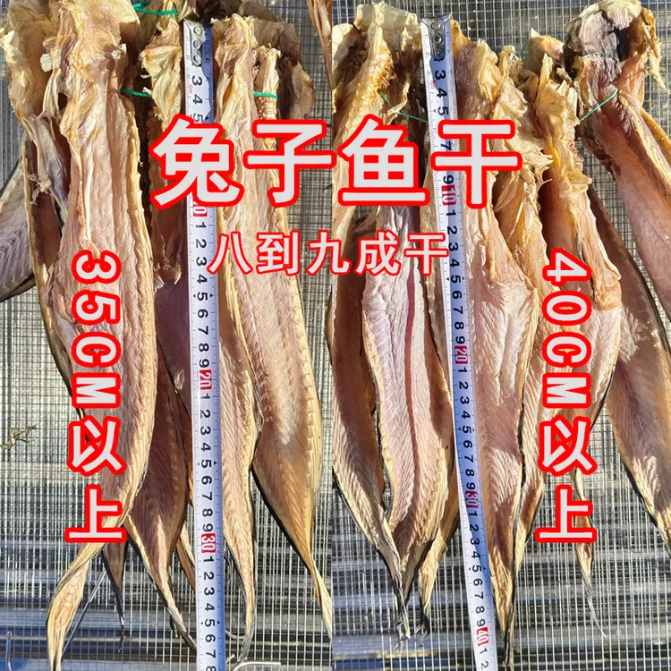 大连淡晒兔子鱼干