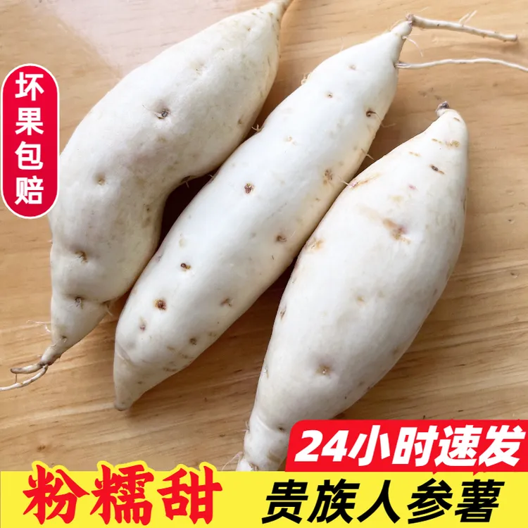 牛奶人参薯新鲜小白薯板栗爆皮王红薯番薯白心农家桥头地瓜粉面甜