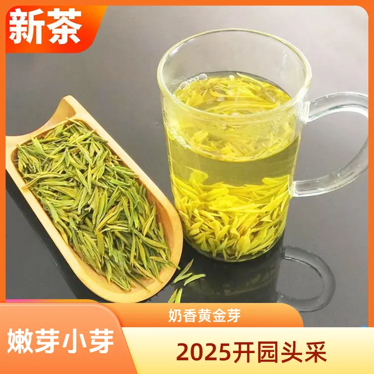 奶香黄金芽H8新茶绿茶肥壮嫩芽高山2025年明前原产地安吉小嫩芽