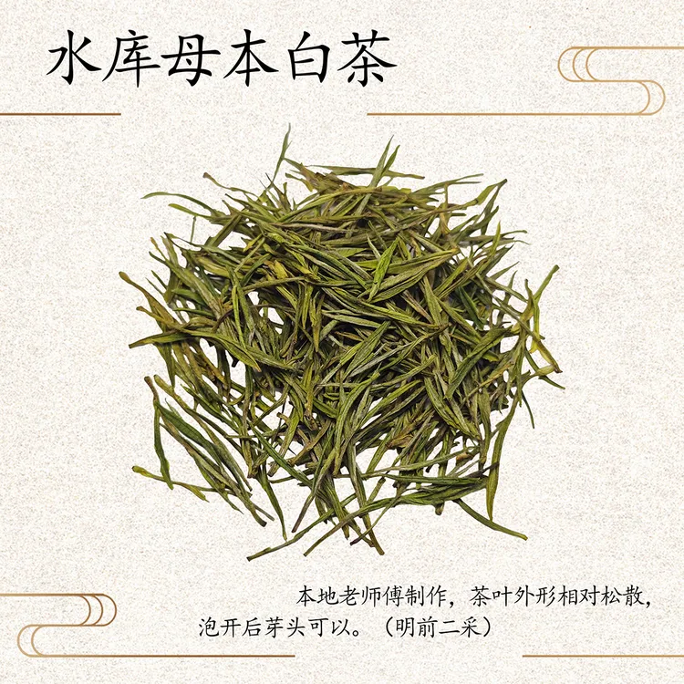 【2025年明前水库白茶壹号】甘醇爽口不苦涩-有试喝装正装拆封不退