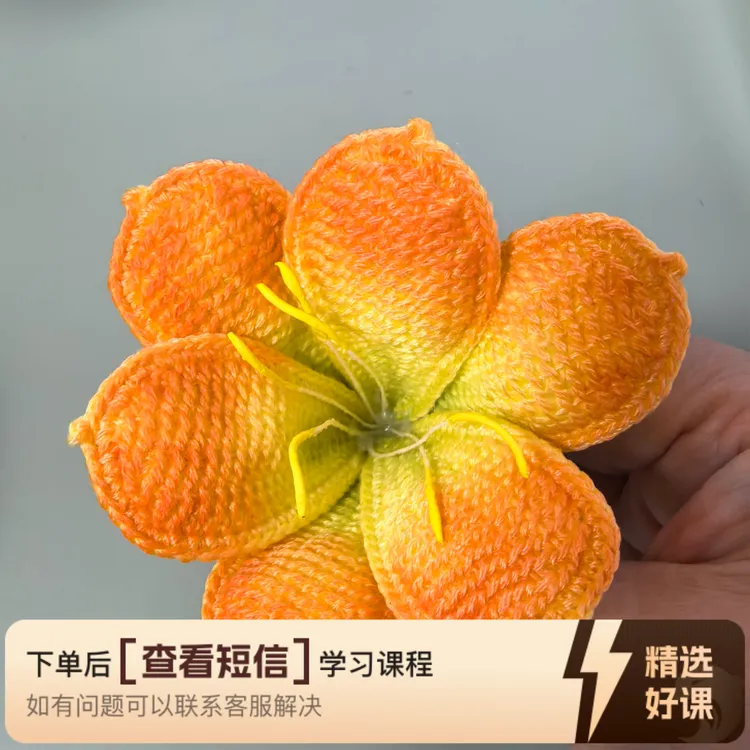 君子兰花教程钩织（留意短信解锁课程）