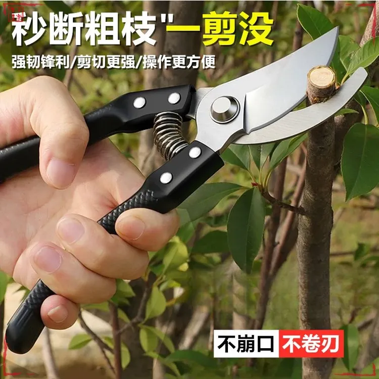 【新疆包邮】园艺剪刀果树修枝剪园林粗枝剪树枝用的剪刀花艺修枝剪