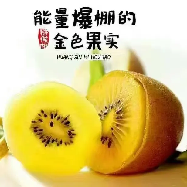 西峡黄心猕猴桃~奇异果新鲜水果现采现发