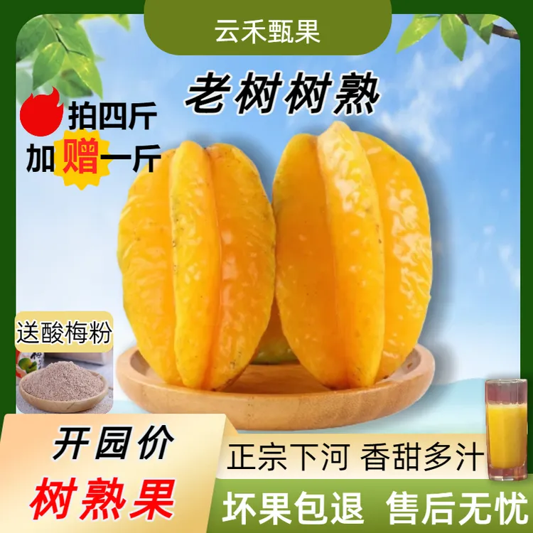 甜杨桃福建漳州树上熟新鲜杨桃清甜多汁当季热带水果