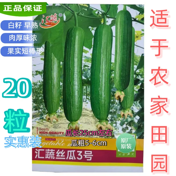 汇蔬丝瓜3号短棒形丝瓜种子白籽早熟肉厚味浓适种植庭院农家田园