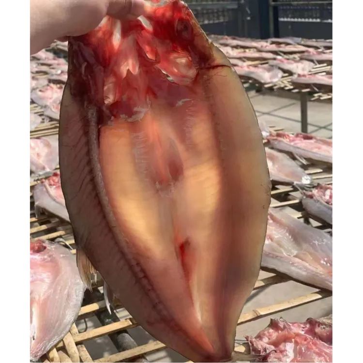 湖北特产阳干大白刁腌制翘嘴鱼大白刁子鱼