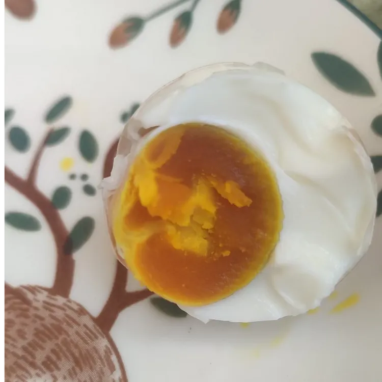 咸鸡蛋胶泥腌制农村传统古法腌制河南老式咸鸡蛋