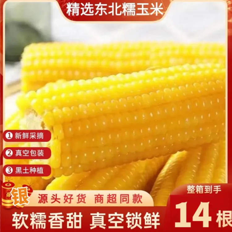 【整箱14根7-7.5斤】东北大黄糯玉米一大箱(试吃4根)