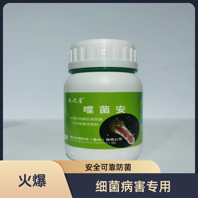 芒果果树等细菌性病害角斑病终结者叶面喷施全育期都可用安全可靠