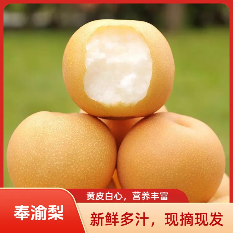 奉渝梨黄梨非秋月梨丰水梨当季新鲜冰糖梨子整箱包邮鲜果现摘现发