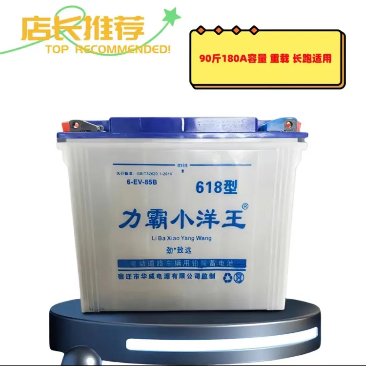 力霸小洋王水电瓶电动三轮车电动四轮代步车牵引货运车餐车电瓶