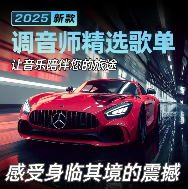 2025新升级正版授权 真音源 热门流行歌曲粤语草原烟嗓伤感流行DJ