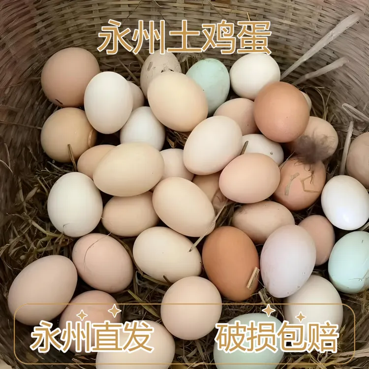 【现捡土鸡蛋】永州土鸡蛋山林散养鸡蛋营养早餐现捡现发破损包赔