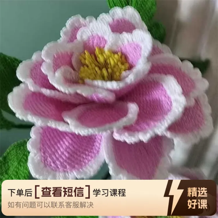 多种花叶分享给你（留意短信解锁课程）