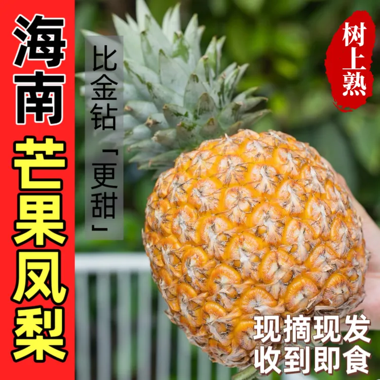海南芒果凤梨高端品种自然成熟海南产地直发纯甜口感比金钻好吃