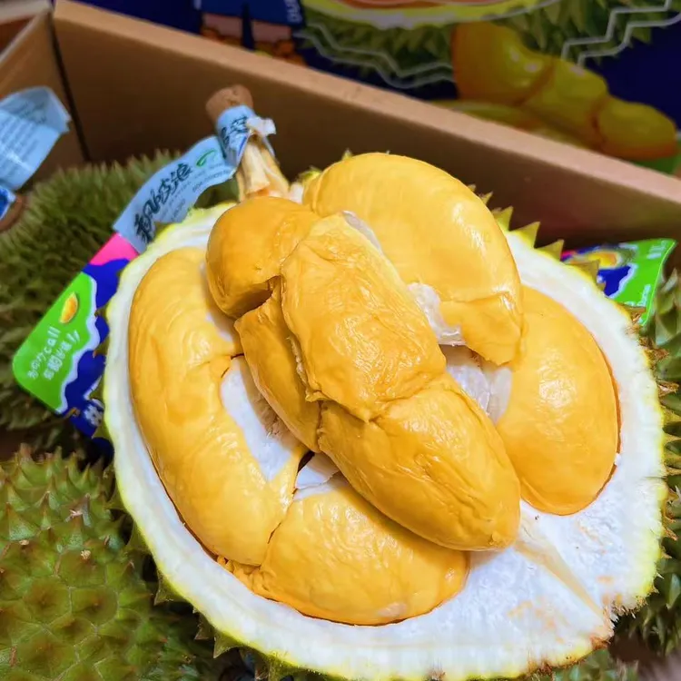 当季限定泰国钻石球榴莲新品种7-8斤礼盒装 软糯香甜【顺丰包邮】