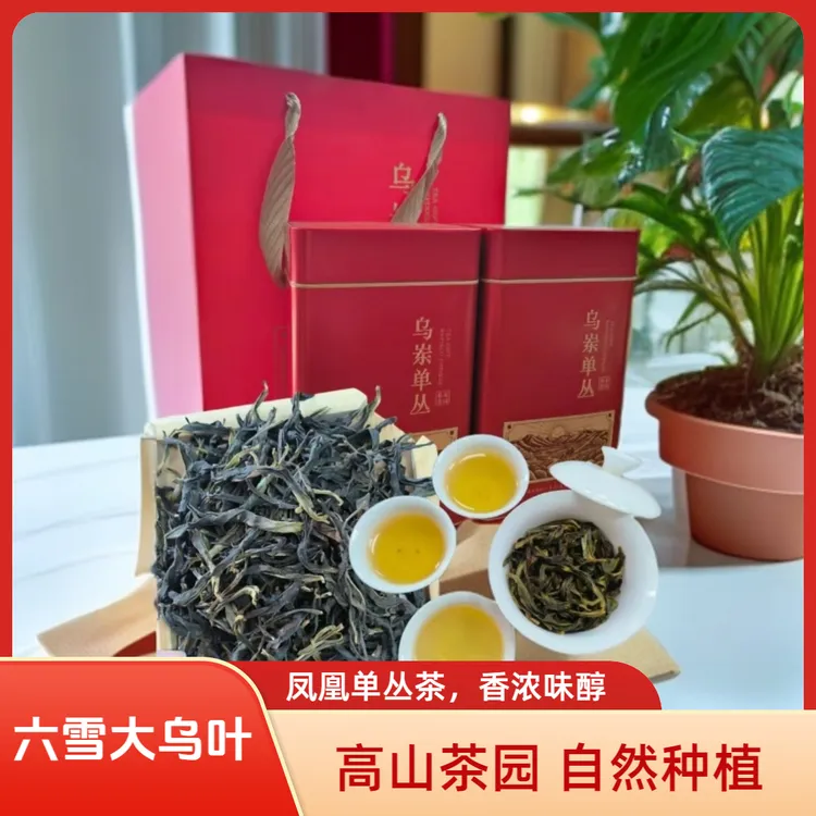 潮州正宗凤凰单丛茶六雪大乌叶高山茶叶潮汕工夫茶高档礼盒