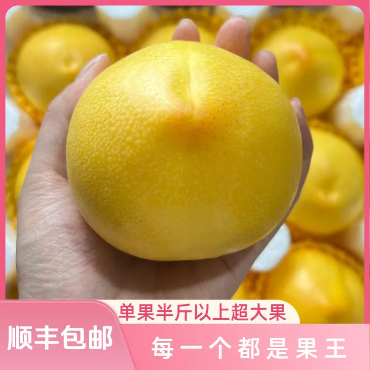 大连黄金芒果桃当季油桃子东北特产地直销新鲜果绿叶好吃送礼盒装