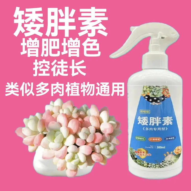 【多肉专用】矮胖素 适用多肉专用增色增肥促生长激活植物营养液