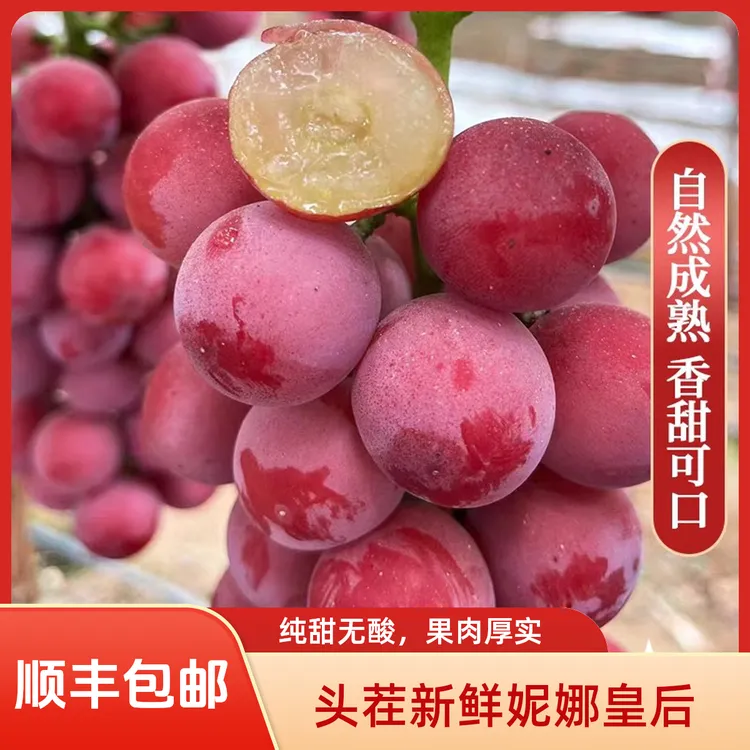 妮娜皇后葡萄粉红葡萄新鲜水果纯甜产地直发【顺丰包邮】