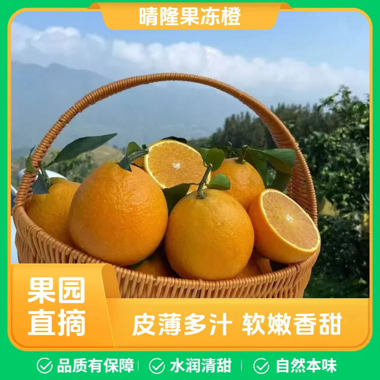 晴隆果冻橙新鲜现摘皮薄多汁果园直发