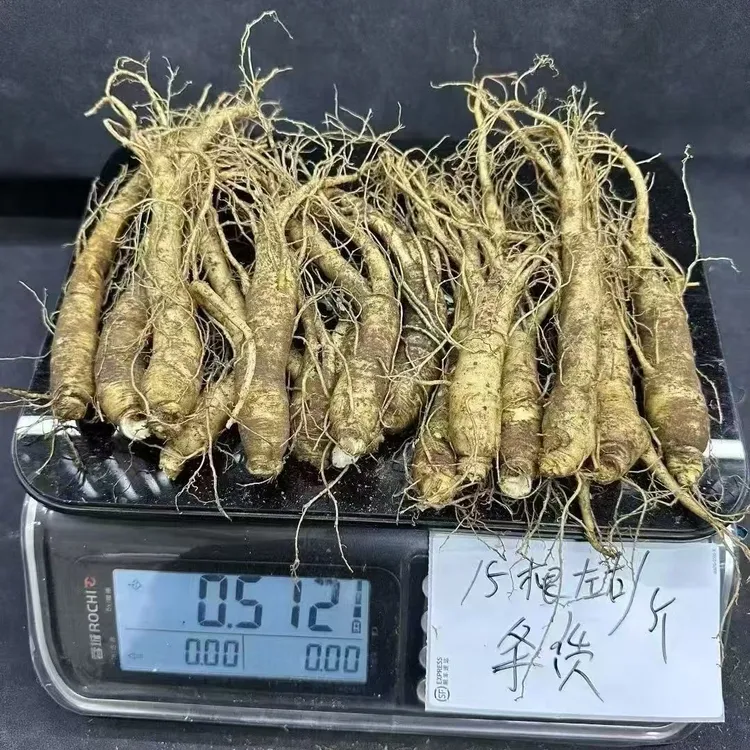 边条货一斤15根左右单支重量30-44克长白参新鲜人参包邮顺丰空运