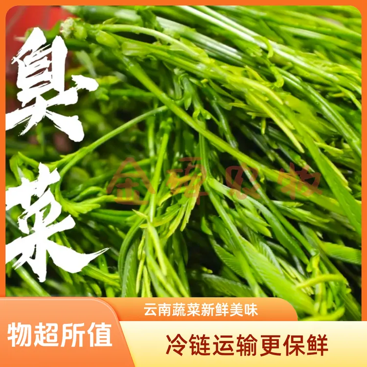 云南德宏新鲜蔬菜帕哈合金欢臭菜傣族绿叶宴帕哈250克泰国生吃