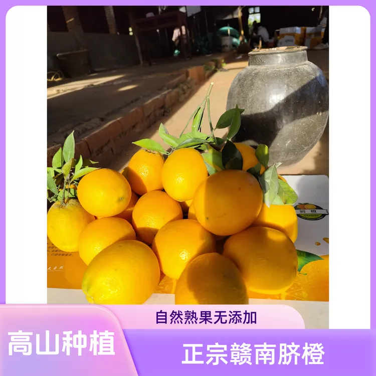 正宗赣南脐橙高山种植新鲜水果果园直发自然成熟