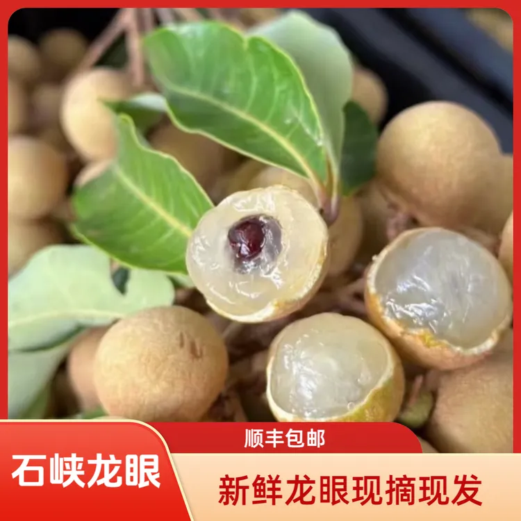 【顺丰包邮】石峡龙眼茂名高州新鲜龙眼脆甜现摘现发当季水果
