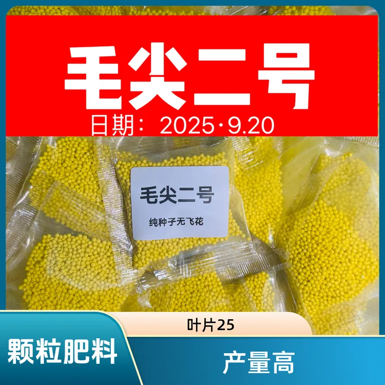 毛尖二号【叶片25】【出芽率98%】【好烘烤耐肥抗病新品种子】全国通用J