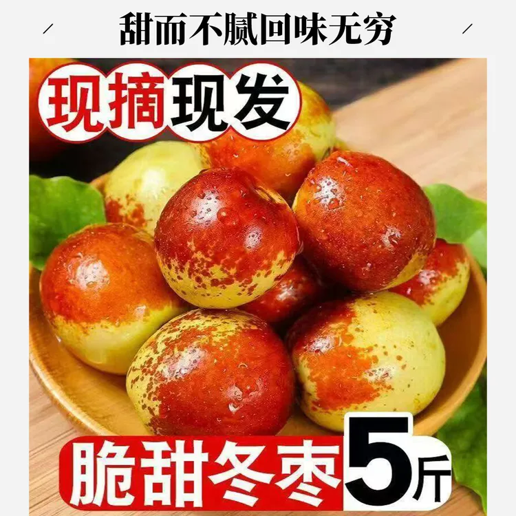 【5斤】沾化一代冬枣新鲜现摘甜脆冬枣时令水果冬枣水果直发