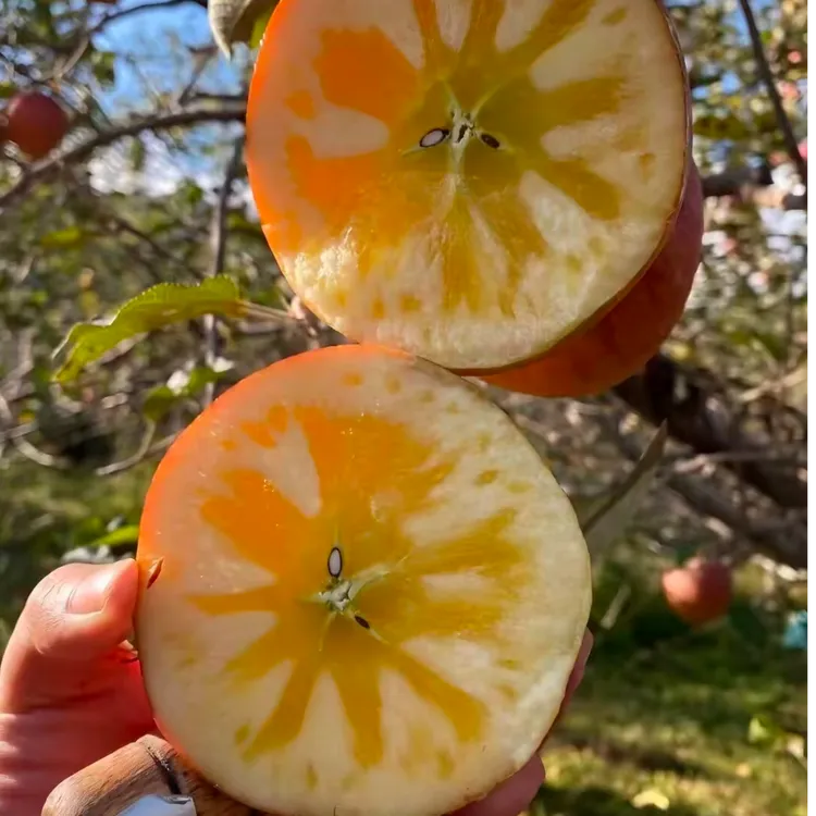 甘肃庆阳冰糖心丑苹果高山光果富士霜降农家果园新鲜采摘产地直发
