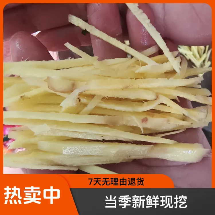 云南小黄姜新鲜现挖香味浓郁辛辣够味山地种植当季大块鲜姜生姜