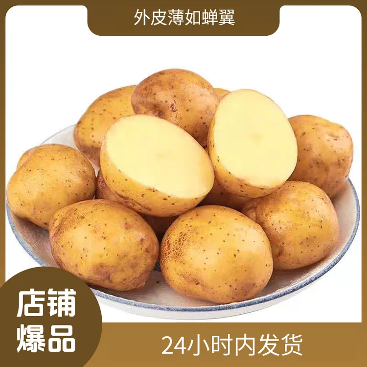 2025年东北蔬菜黄皮黄心大土豆马铃薯现挖现发果蔬当季新鲜蔬菜