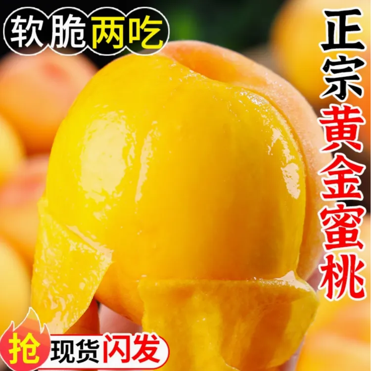蒙阴黄毛桃水蜜桃黄桃香甜皮薄果香现摘果园爆汁软桃子黄桃水果T