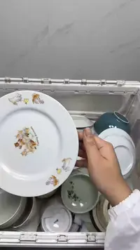 【闪购商品】4660回流瓷器默认微瑕，18.8包邮